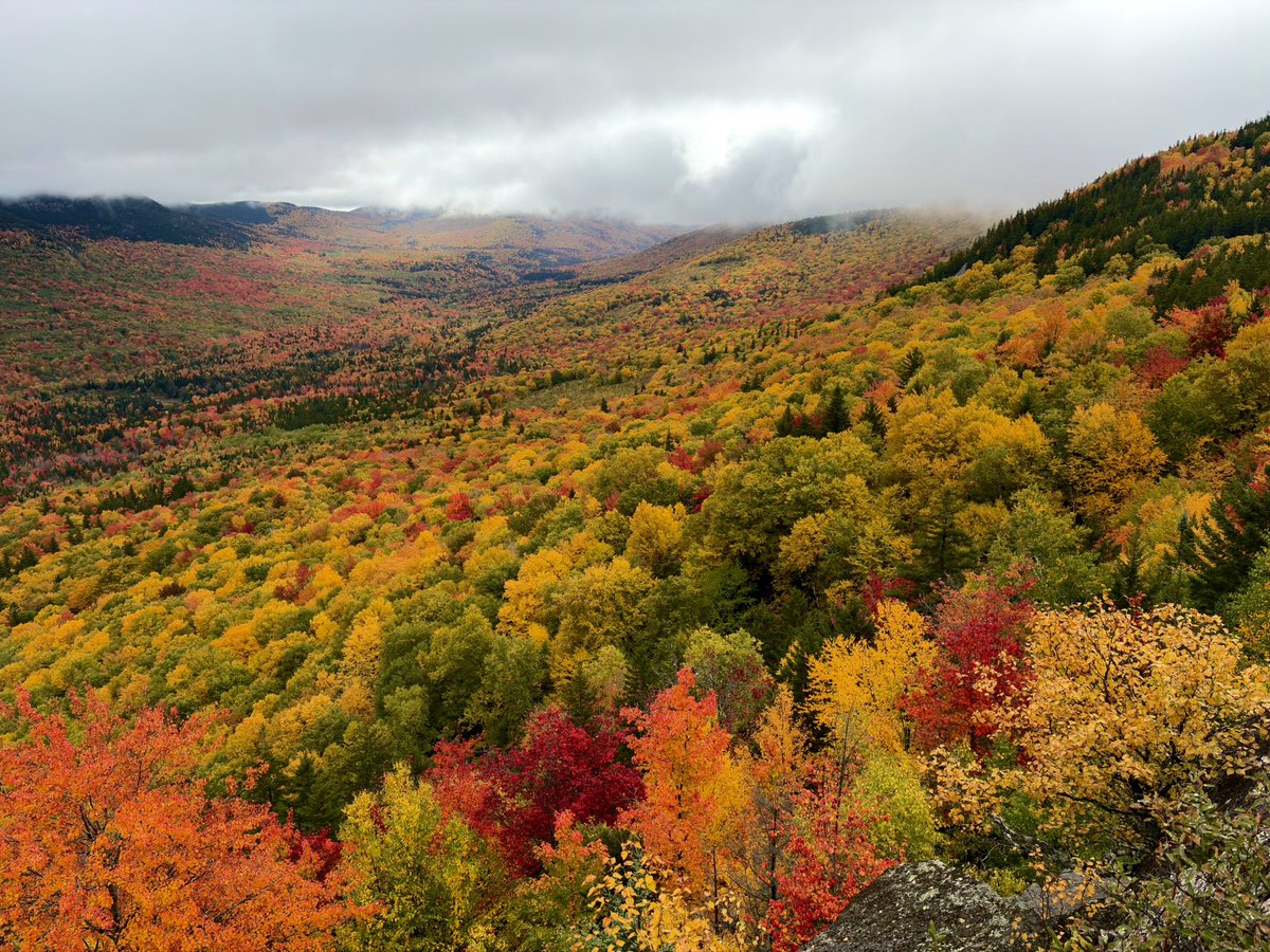 MattHoenigWx's tweet photo. Fall is in full swing in the White Mountains of New Hampshire 🍁 https://t.co/B04Tb1Uv8j
