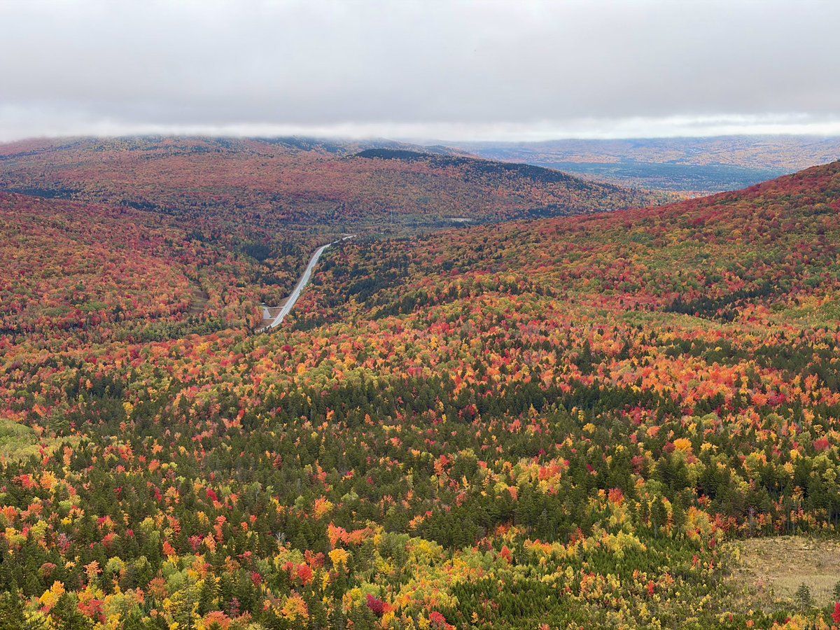 MattHoenigWx's tweet photo. Fall is in full swing in the White Mountains of New Hampshire 🍁 https://t.co/B04Tb1Uv8j