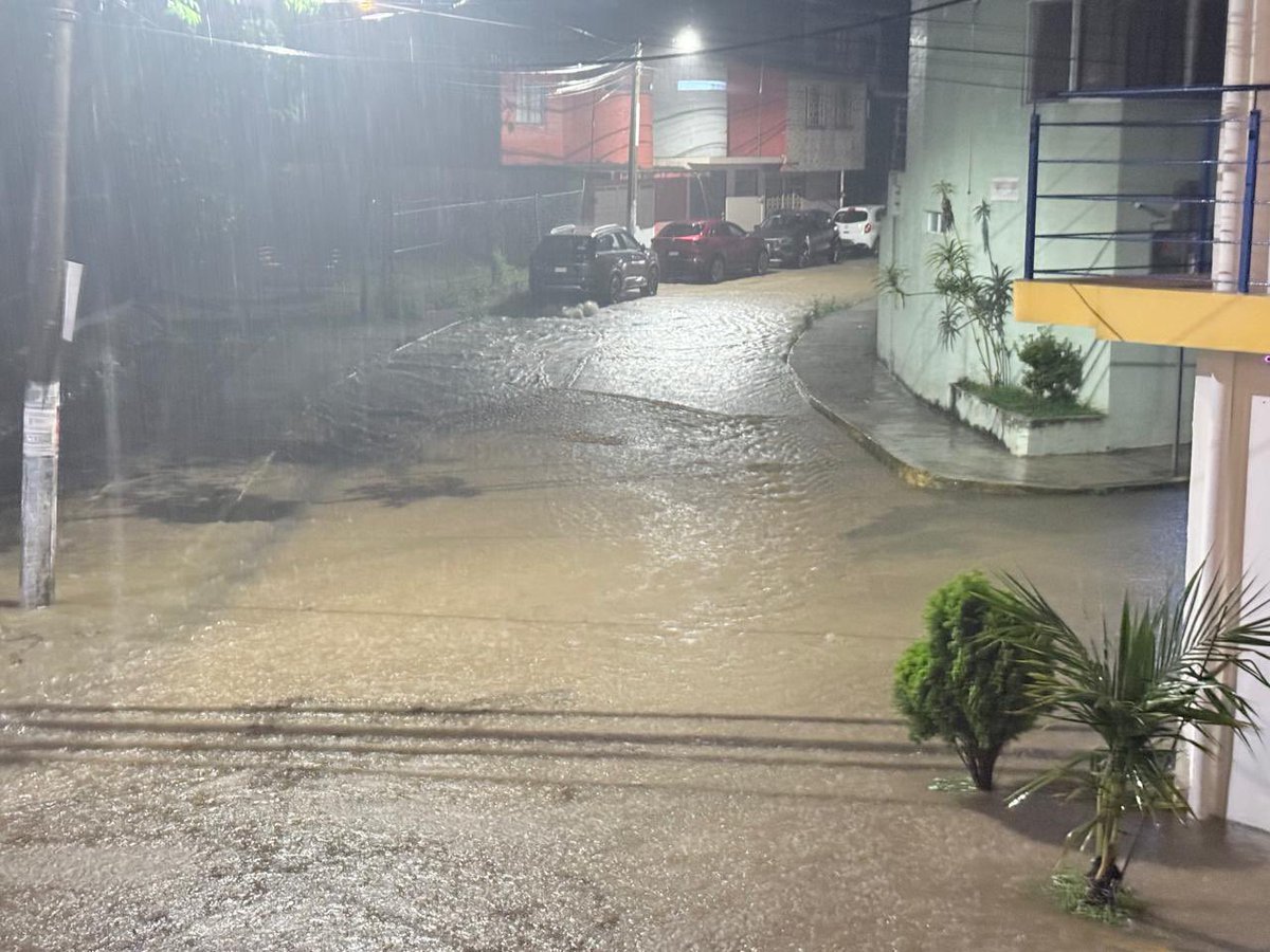 AbelMucino's tweet photo. Día 2
@CMAS_Xalapa Solicito su apoyo para desazolvar traga tormentas en calle Colima esq. Yucatán, Col. J.J. Panes. Están totalmente tapados y nos inundamos en cada lluvia. Se requiere camión Vactor.
Folio: 0355
@AytoXalapa
@alcalorpolitico
@MeganoticiasXAL
#Xalapa https://t.co/CqKeSGMmMG