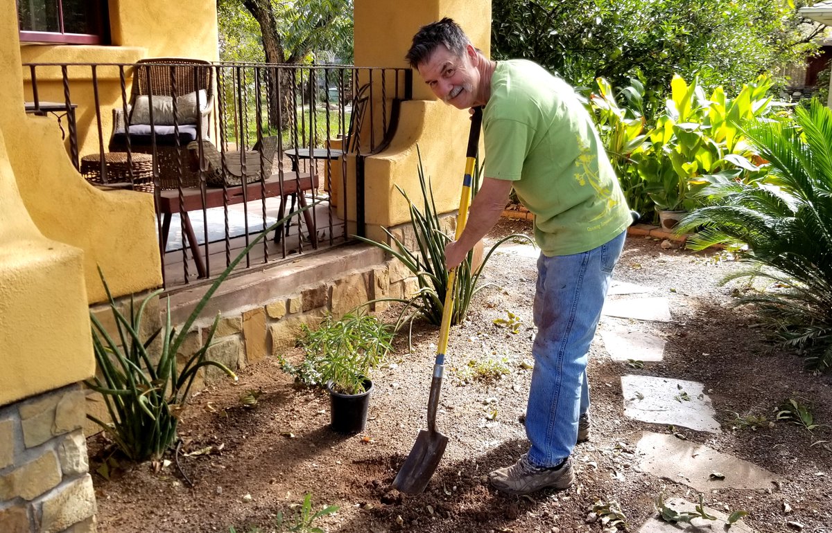 CITYOFMESA's tweet photo. Fall is the perfect season for planting! 🌱🌿 Find out about incentives, free trees, free landscape publications, a website dedicated to fall planting, and more in our September Living Green Events news! https://t.co/VLbM0HinC0 https://t.co/nZn5CH1Zek