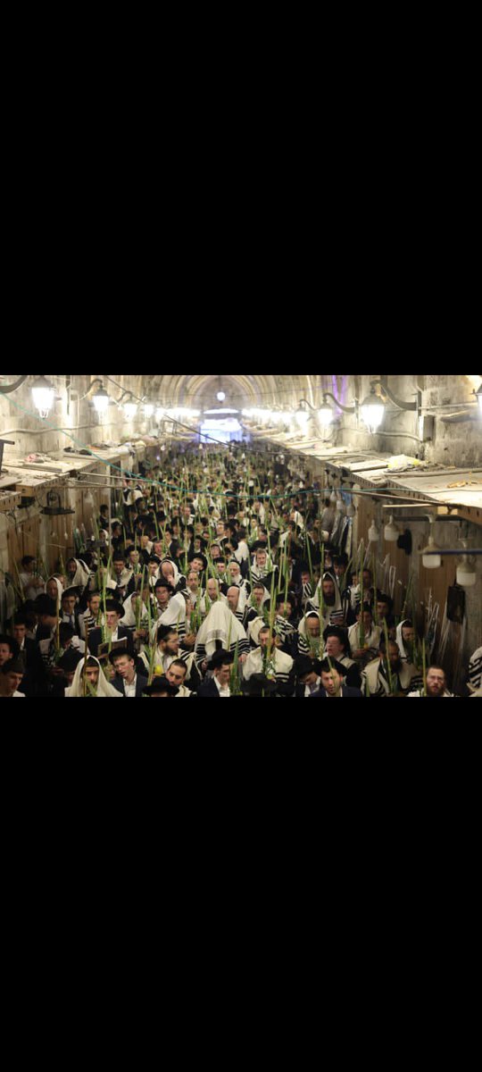bz2elu's tweet photo. 🔴فلسطين.. مئات المستوطنين يقتحمون الأقصى في خامس أيام عيد العرش وشهداء بغارات على غزة

🌍تابع قناة ألأخبار العالمية (Whatsapp)

https://t.co/jP8lOIWKsf

صفحة الاخبار العالمية 

#حركة_أنصار_المهدي https://t.co/uNTOjthCgY