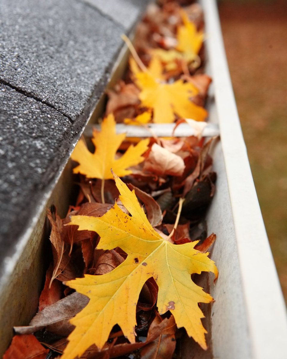 CheckbookOrg's tweet photo. Leaves haven’t fallen yet, but gutters are worth thinking about now. Good pros tend to fill their schedules quickly once the season starts. If you’d rather clean them yourself, our guide covers how to keep your gutters in shape.
https://t.co/3X8VzxiVrb https://t.co/rkALFQBI9a