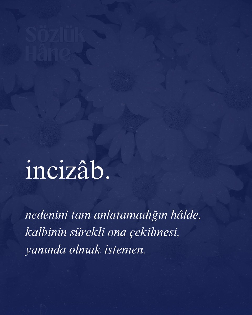 sozlukhane's tweet photo. https://t.co/V8ycePwAuc