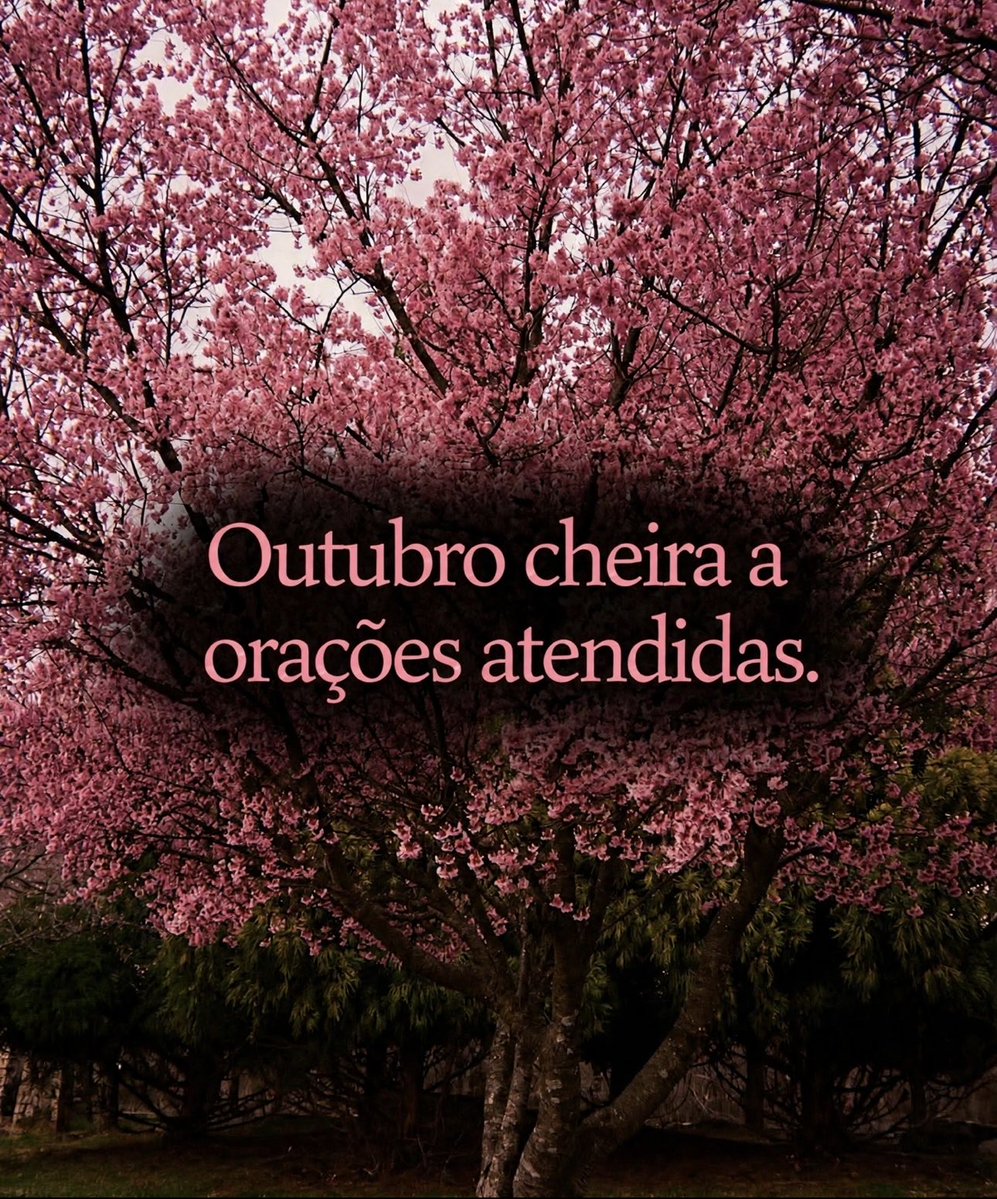 UmFilosofoCitou's tweet photo. https://t.co/Gd5HtuS2IM