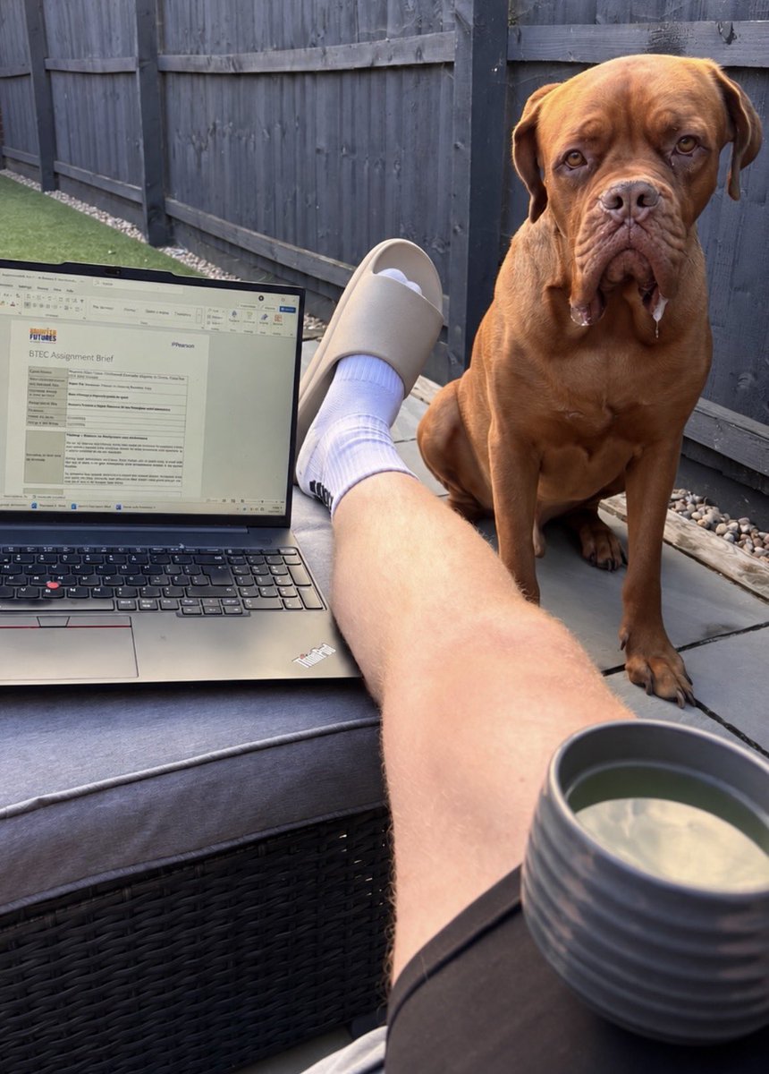 cieronkeane's tweet photo. Lesson plans ✅ Lemsip ✅ Needy dog ✅ https://t.co/lLg7jJZTni