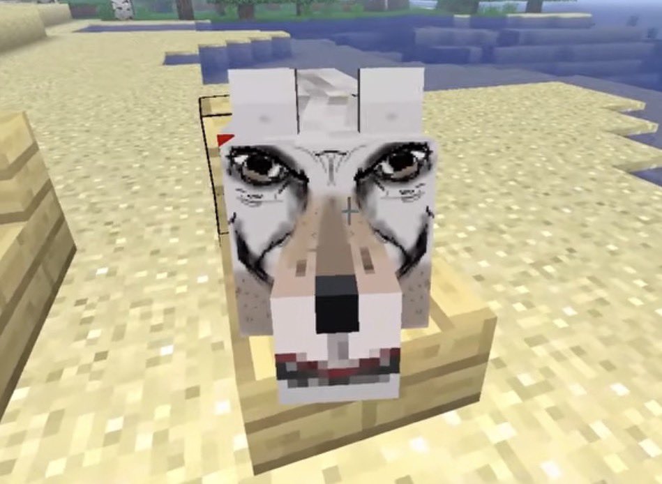simon_foxxy's tweet photo. i better see yall make fanart of him with this face https://t.co/aV02njQj0T