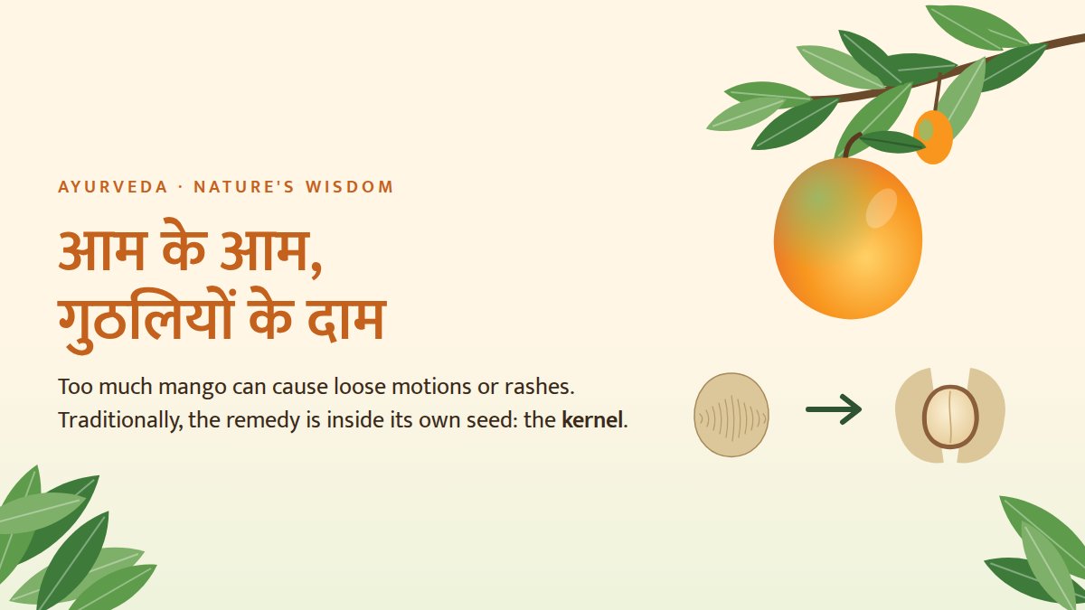 VedicPragya's tweet photo. आम के आम, गुठलियों के दाम 🥭

If the body's agni is weak, too much mango can cause loose motions or rashes. Ayurveda's remedy is hidden in its own seed: the kernel.

👉 Know more (how to use it + precautions) on Instagram: https://t.co/KtnPiSGo9s

#Ayurveda #Mango https://t.co/5AoUge4MOC