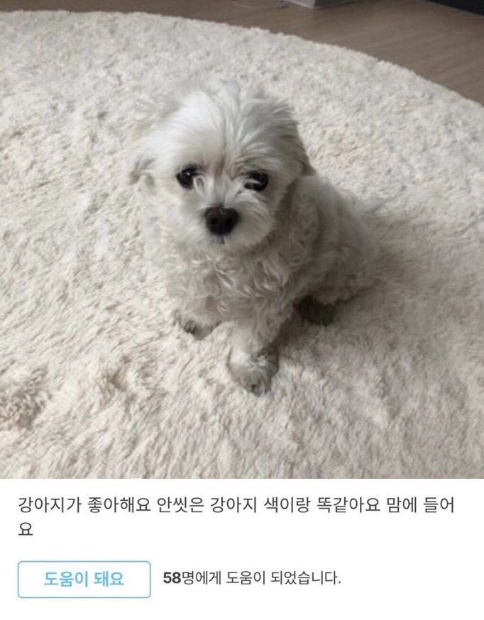 o3week's tweet photo. 너무 귀요운 러그 후기 ㅋㅋㅋㅋㅋㅋㅋㅋ ㅠㅠ https://t.co/tCUJeu0mdI