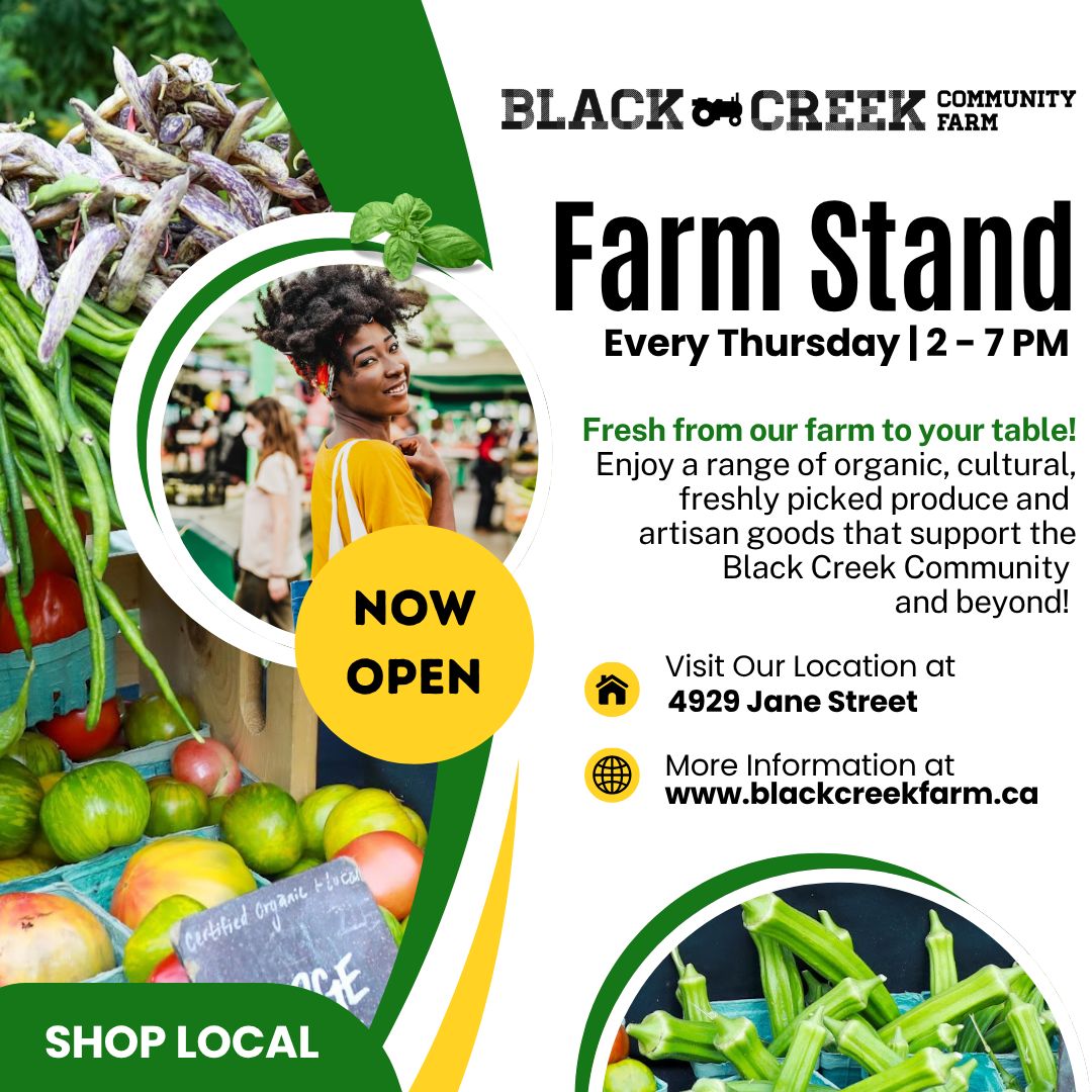 BCCFarm's tweet photo. The season isn’t over yet! 🌻  BCCF's Farmers Market is still open and there’s lots of fresh, locally grown goodness to enjoy.  See you soon! 🌻

Location: Black Creek Community Farm
Address: 4929 Jane Street, York
When: Every Thursdays 2 - 7 PM | Now to October 22 https://t.co/Rdnj5Q2I3H
