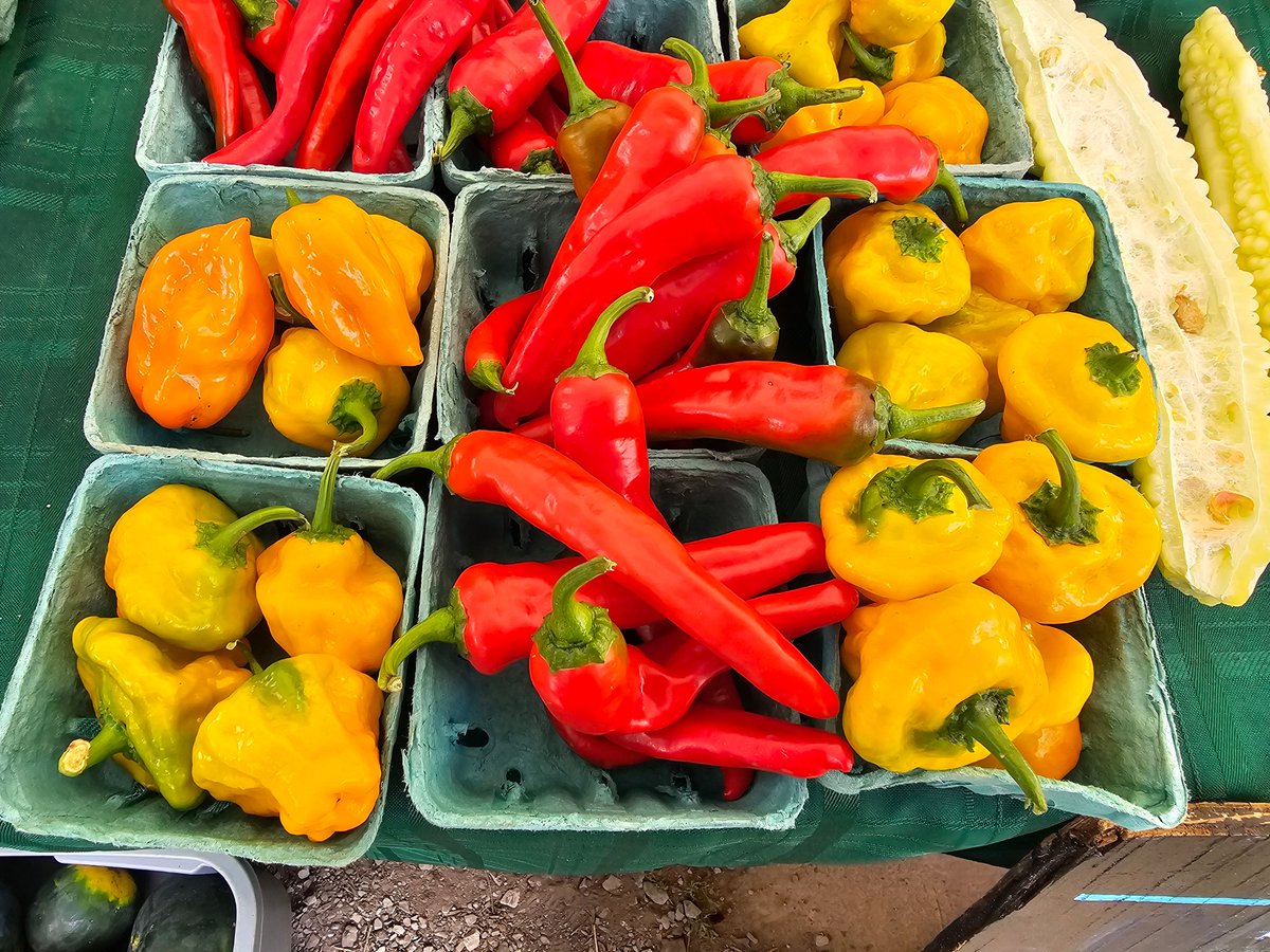 BCCFarm's tweet photo. The season isn’t over yet! 🌻  BCCF's Farmers Market is still open and there’s lots of fresh, locally grown goodness to enjoy.  See you soon! 🌻

Location: Black Creek Community Farm
Address: 4929 Jane Street, York
When: Every Thursdays 2 - 7 PM | Now to October 22 https://t.co/Rdnj5Q2I3H