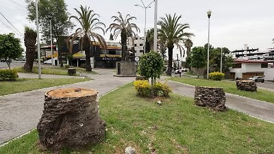 DespiertaPue's tweet photo. 🌴🚨 ¡Retiran palmeras enfermas en La Paz y la Avenida Juárez!

Palmeras que presentaban afectaciones y riesgo para la zona fueron retiradas en estos puntos de Puebla. 👀

https://t.co/A1s9gjbDmh

#Puebla #LaPaz #AvenidaJuárez #MedioAmbiente #DespiertaPuebla https://t.co/li689bFo35