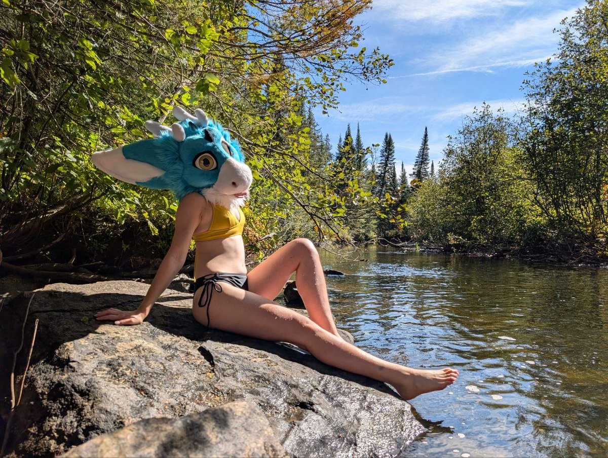 canelle_potato's tweet photo. Little trip out in the wild🌲

🪡: @StuffedTailsFur 
📸: @Ensifur https://t.co/7LF7czFIrA