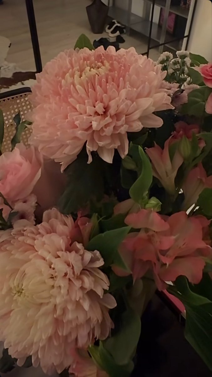 BeefBrina's tweet photo. 🌸🪷🌷 https://t.co/fbllMHouAJ