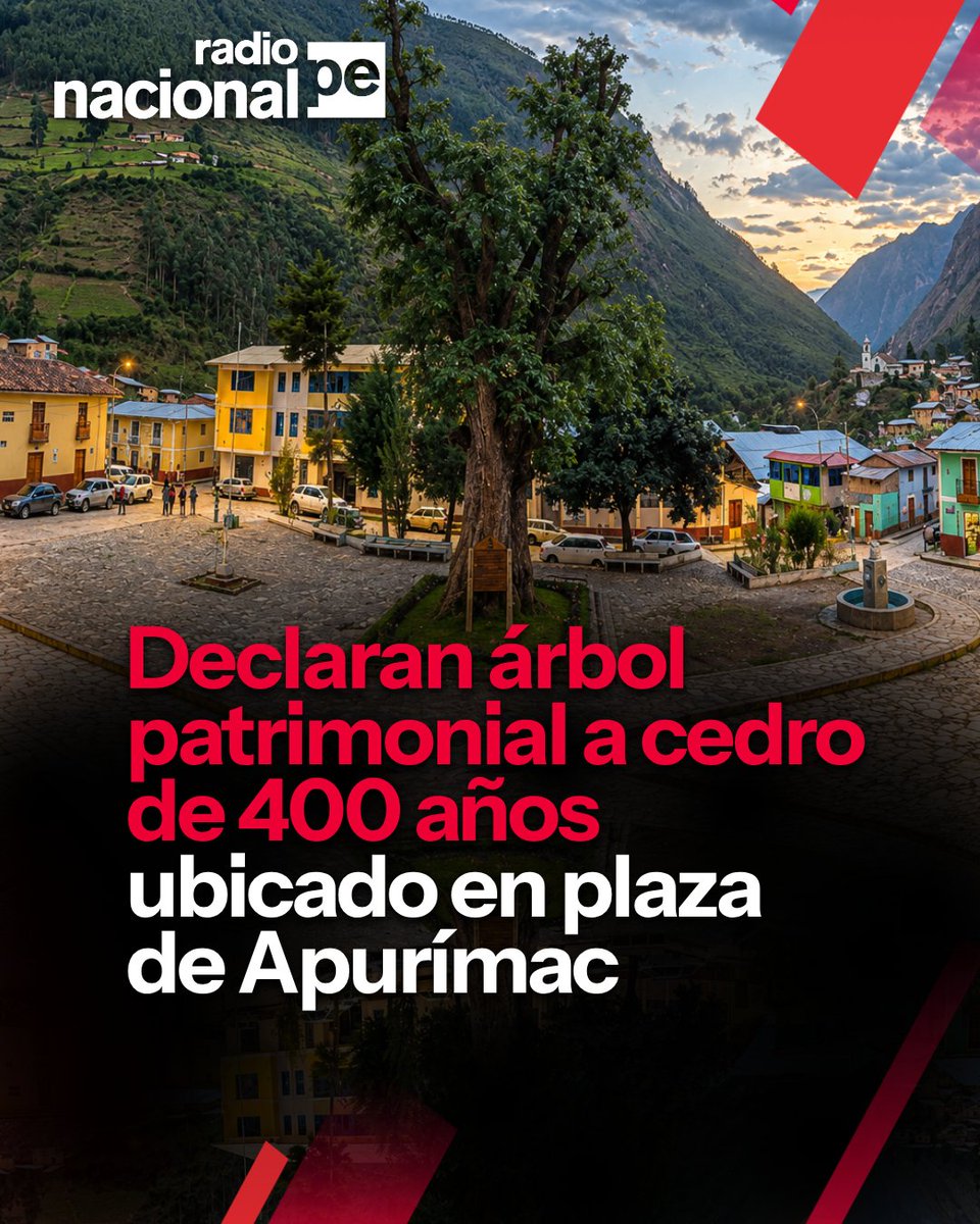 RadioNacionalFM's tweet photo. 🌳✨ En la plaza de Armas de Lucre, en Aymaraes, Apurímac, un antiguo cedro fue declarado árbol patrimonial por la municipalidad distrital, con apoyo técnico del Serfor.
#Apurímac #Lucre #ÁrbolPatrimonial #WiñaySacha #PatrimonioNatural https://t.co/nIu9RbsRMm