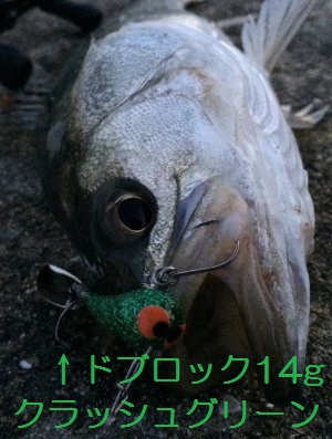 lureshopredhead's tweet photo. バス・シーバス・チヌ・青物が釣れるドブロックの取扱店舗様は大阪市住之江区の伊勢吉様及び神戸市中央区のフィッシングマックス三宮店様のみ。カラーは無塗装・ディープパープル・クラッシュグリーン・パーリーシルバー・ステイゴールド・スラッシュシルバーの6色。 https://t.co/cIw7FFZyAB