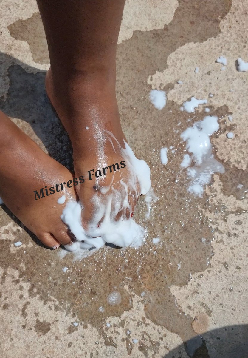 MistressFarms's tweet photo. There is always enough at the farm https://t.co/2QbOfTVxG9