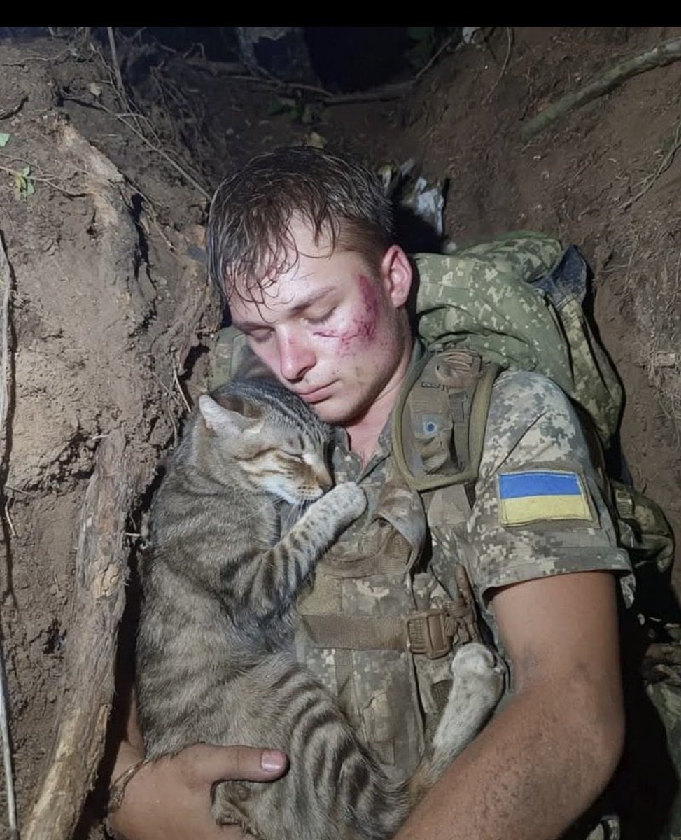 MariaVictor33's tweet photo. O îmbrățișare plină de căldură și omenie în mijlocul întunericului. Chiar și în cele mai grele momente, bunătatea găsește o cale. 🐾
#speranță #umanitate https://t.co/LzfyrrVtgi