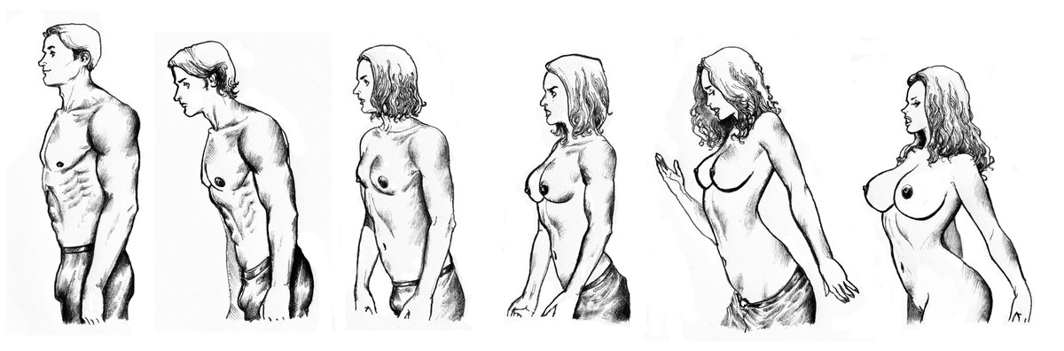 crockett_z's tweet photo. Within minutes, a surging wave of hormones stripped all of the nutrients fortifying the muscles and mass in his body to fat deposits in his breasts, hips, and thighs.  What was one firm and hard like a tree turned into soft and billowy shapes.  He had achieved full womanhood. https://t.co/QDoMSWKEEn