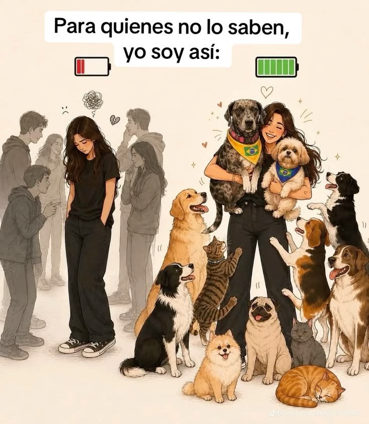 rey_latino33087's tweet photo. https://t.co/Qd558mwqI6