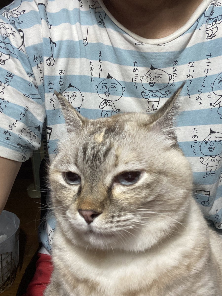 428mg2's tweet photo. ぽんつくママの写真送って、と母親に頼んだ
しかしTシャツの柄に全てが吸い取られる https://t.co/IK045ycsr2