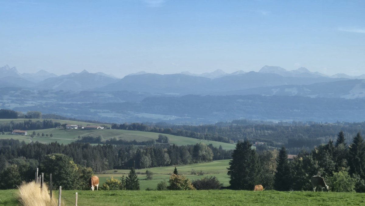 AlexderKleine82's tweet photo. Was für ein toller Tag🌞 und was für eine schöne Aussicht ⛰️auf die Alpenkette.🍀✨️
#Alpen #Berge #mountain #Wandern https://t.co/z2XY6SiccI