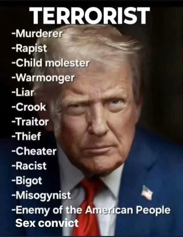 AntiquarianMuse's tweet photo. Truth is, these are the top reasons people voted for him. 

I don't believe for one second 30% of Americans did not see what literally every other person on the planet took as obvious. https://t.co/YX6lX7wlqb