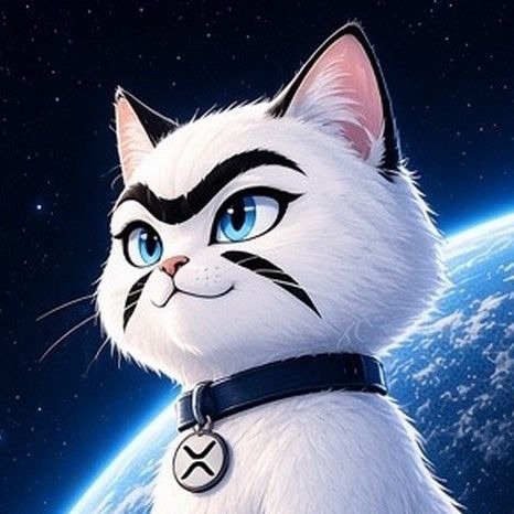 XRPCatSolana's tweet photo. $XRP has been building and accumulating slowly and I understand it makes so much sense that it's flywheel will also run..

XRPN will run that's for sure..

but imagine an asset that rewards you in xrp just because you hold?

You're probably thinking.. 
Q. What's the catch?
Ans: right now it's a catcoin paired with XRP deployed on @LaunchOnSF 

- currently CTOed with a solid xrp cult 
- undervalued massively sub 200k market cap
-  a billion dollar narrative sit at the lows.
PS: I said the same thing about $XRP 

$XCAT is the ticker and 
Contract address:
77xuWiXF7PKZRW2jDD4Tkyw3M3qQkZADYNnG7h3xrndj

Consider this a financial advice 
Join the XRP CAT movement!