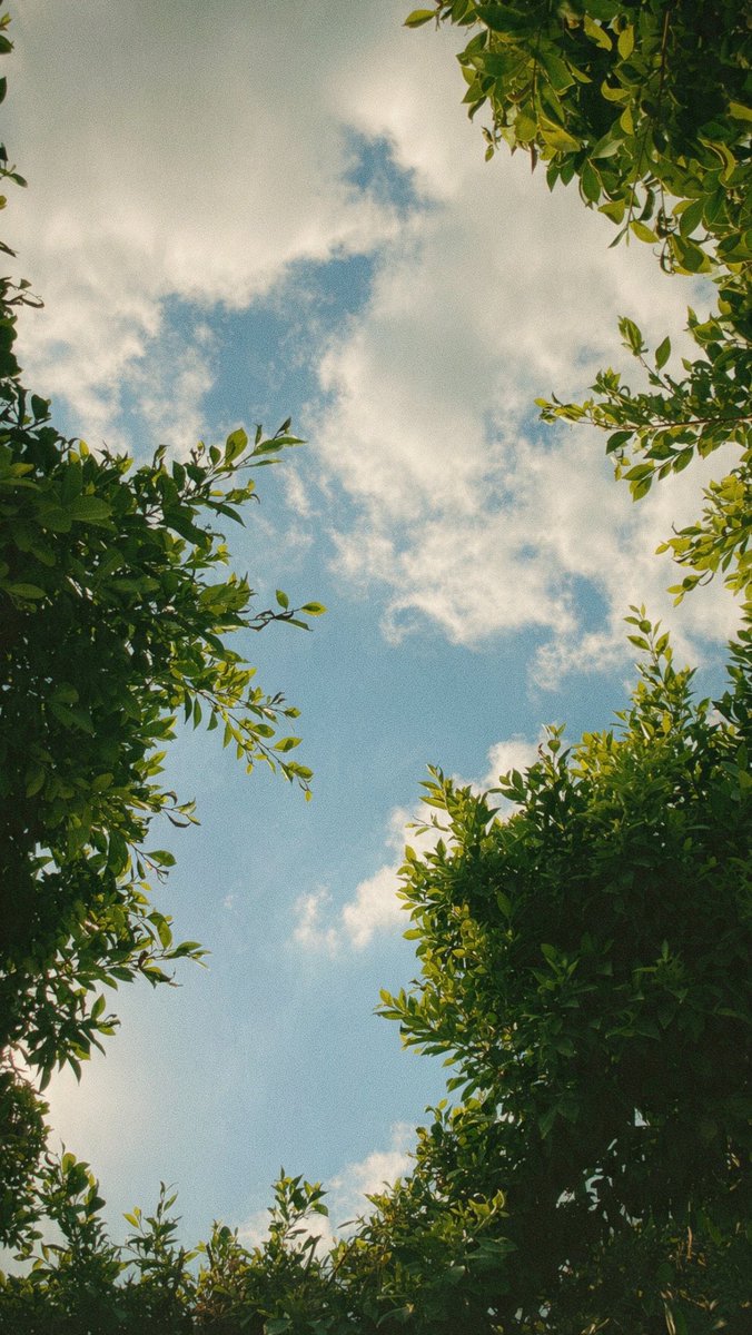 gehadelzomorr's tweet photo. https://t.co/Xc2JPZWeGm