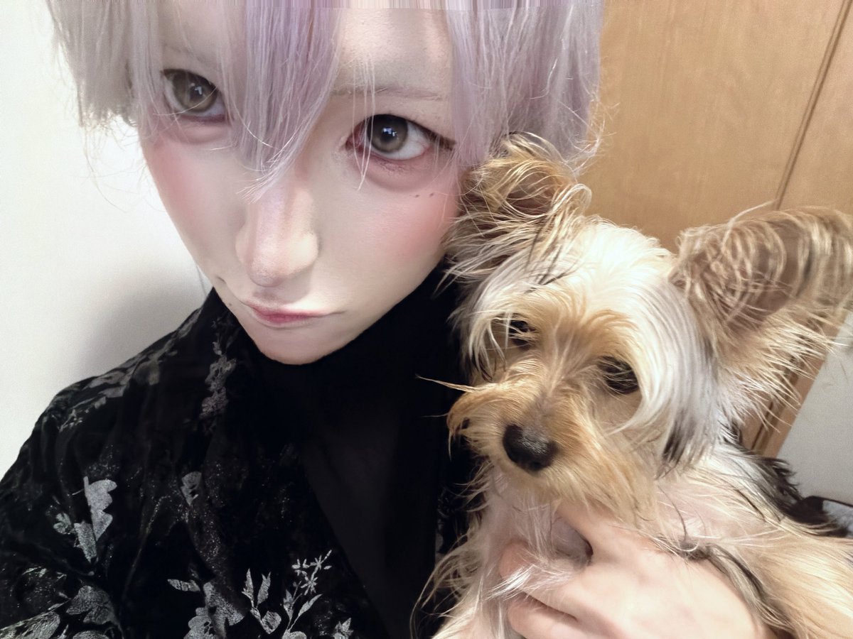 stella_yume_'s tweet photo. たまにゃM字の日だってある
#メン地下 #メンズ地下アイドル #いいね返し #自撮り界隈 https://t.co/HblWxpPKsy
