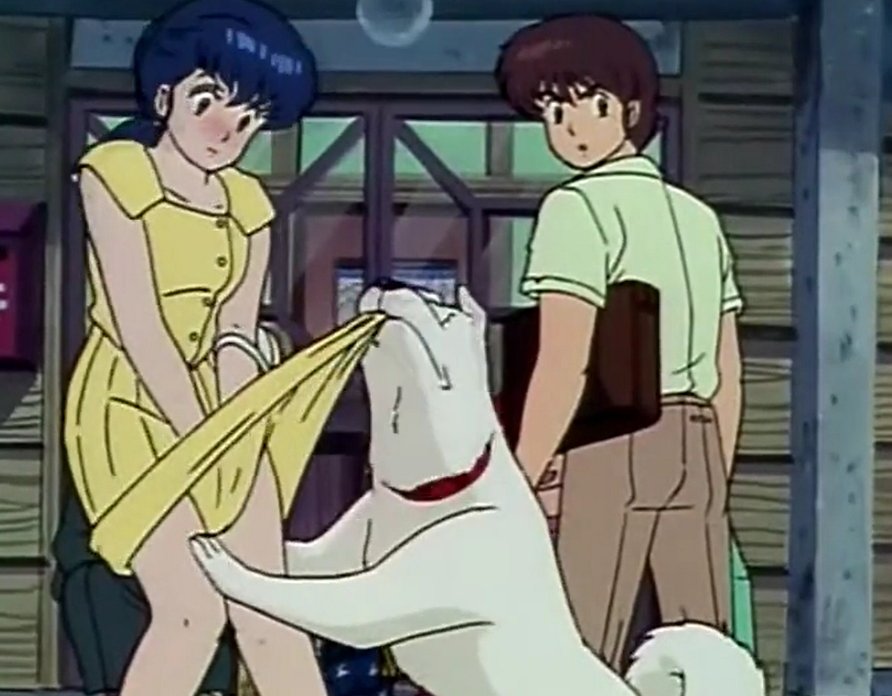 Dailymisskyoko's tweet photo. 💖Daily Kyoko #17💖
#MaisonIkkoku https://t.co/C20W7UN85x