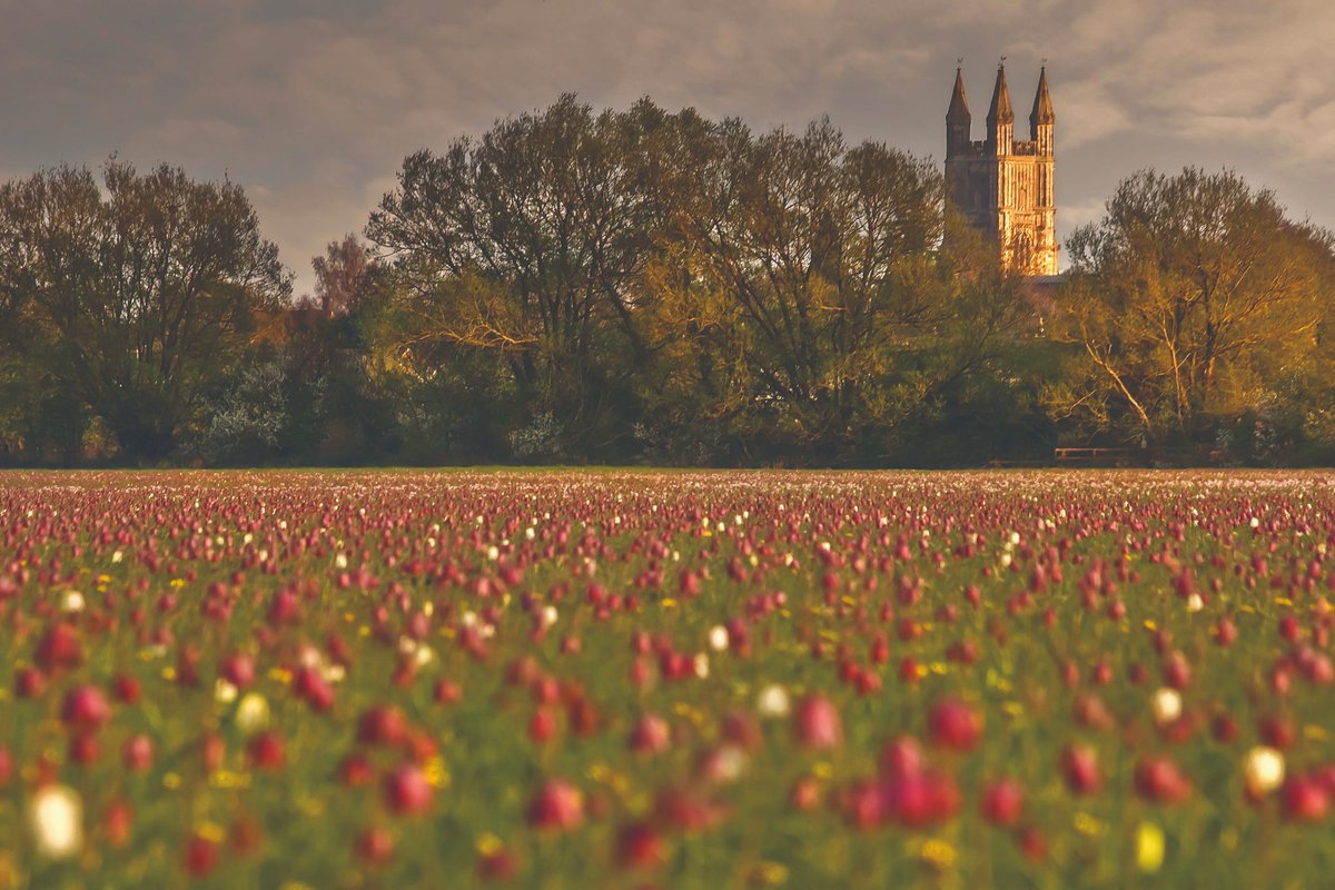 VisitWiltshire's tweet photo. Situated in north Wiltshire is Cricklade, the first town on the Thames, offering an idyllic base for those interested in history, wildlife, walking and more.

📷Phil Selby https://t.co/tcHuA0Cfgt