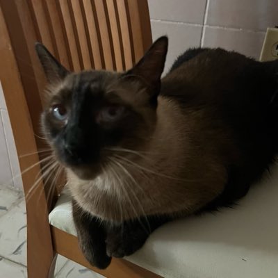 vhallbor's tweet photo. #NuevaFotoDePerfil https://t.co/rXIuUEdHLZ