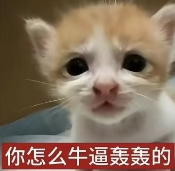 Qian7m9's tweet photo. @lumu2223 喂。吓到宝宝了… https://t.co/G9dU0l3L6f