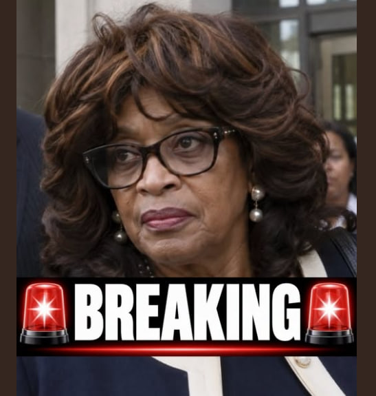 RedEagleUpdates's tweet photo. 🚨SHOCKING:

Former Congresswoman Corrine Brown just got FIVE YEARS in federal prison.

SHE TURNED A FAKE EDUCATION CHARITY INTO HER PERSONAL SLUSH FUND — HUNDREDS OF THOUSANDS MEANT FOR KIDS PAID FOR LUXURY BOXES, TRIPS, AND HER LIFESTYLE.

Public office is not a personal ATM.

Should more politicians go to prison for this?

YES or NO?