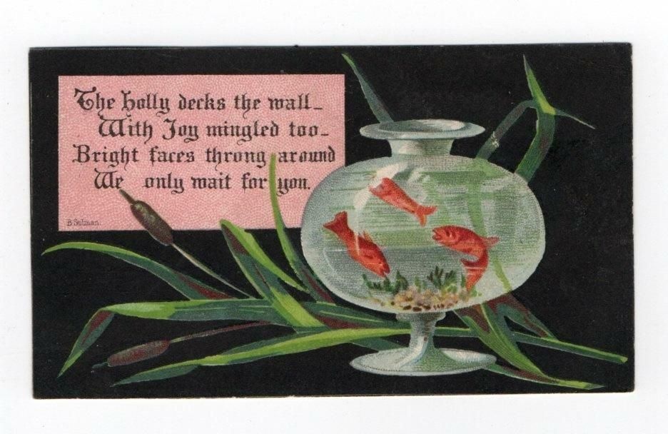 weird_christmas's tweet photo. Jolly... fish. Sure. https://t.co/BBi15tD0Jt