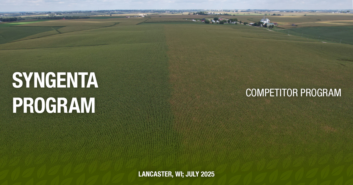 SyngentaUS's tweet photo. On-farm grower trials in corn showed a 14 bu/A advantage on average using Better Yield is the Better Deal products.
See more grower trials --> https://t.co/WpKCnuJ0BU https://t.co/ZBZwGHtrdr