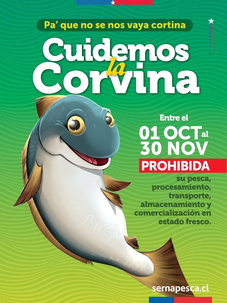 sernapesca's tweet photo. Informamos que mañana 1 de octubre comienza la veda de la corvina, medida que rige en todo el país durante octubre y noviembre tanto para la pesca artesanal como la pesca recreativa.

Revisa los detalles en: https://t.co/PiFLmPJBD4 https://t.co/LmCtmLawKA