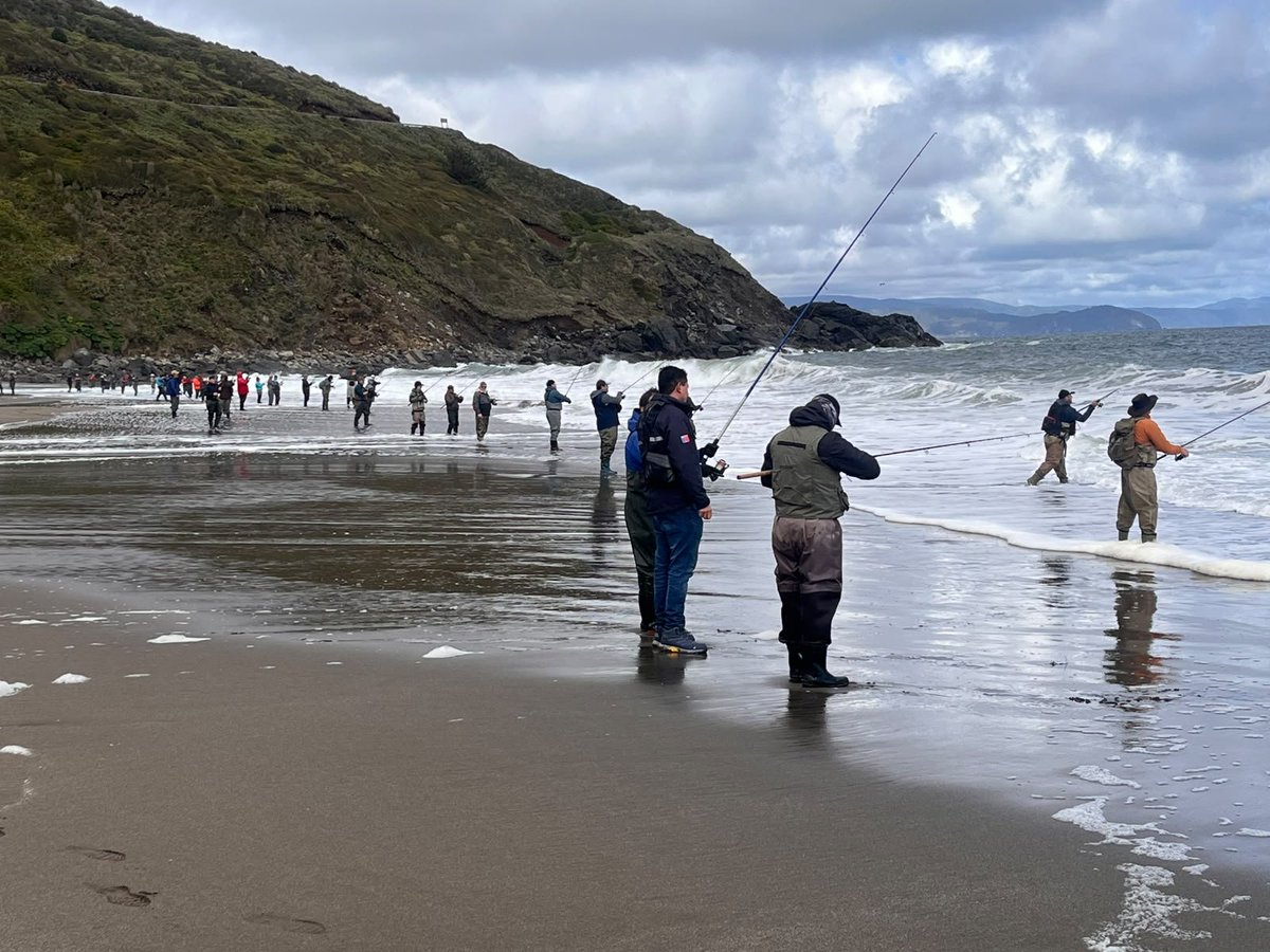 sernapesca's tweet photo. Informamos que mañana 1 de octubre comienza la veda de la corvina, medida que rige en todo el país durante octubre y noviembre tanto para la pesca artesanal como la pesca recreativa.

Revisa los detalles en: https://t.co/PiFLmPJBD4 https://t.co/LmCtmLawKA
