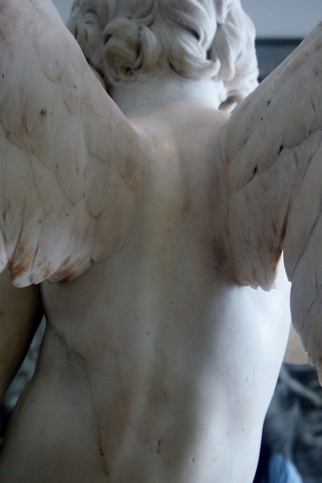porcelain_emmy's tweet photo. https://t.co/OI3YZr6MBQ