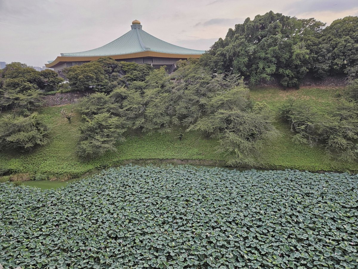 ghost_alman's tweet photo. 体調不良で休んだなり
睡眠不足で体動かしてずっと気張ってたら疲れるよな
睡眠は大事ですよ https://t.co/rErzdpWDhW