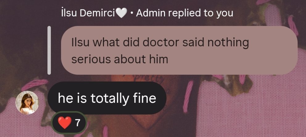 dreamblur5's tweet photo. glad to know the little baby is totally fine 🥺🤍 ilsu was so worried about him, and it’s sweet that she checked on him. hopefully he finds a loving home soon 🫶🏻 
#Arafta #IlsuDemirçi https://t.co/d9J2Qs69oa