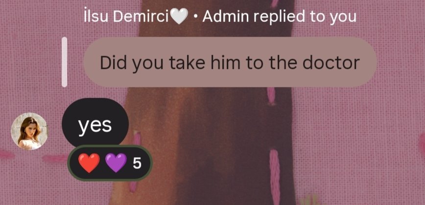 dreamblur5's tweet photo. glad to know the little baby is totally fine 🥺🤍 ilsu was so worried about him, and it’s sweet that she checked on him. hopefully he finds a loving home soon 🫶🏻 
#Arafta #IlsuDemirçi https://t.co/d9J2Qs69oa