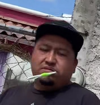 LicAnimalista's tweet photo. #NoticiaCriminal en Sauces 1 en Zumpango, personas permiten peleas de perros, menores de edad observan en el lugar y responsables hasta se burlan cuando les reclaman. @FiscaliaEdomex urge su intervención. @delfinagomeza @CEPANAF @propaem_sma https://t.co/zyV2zoqwr1