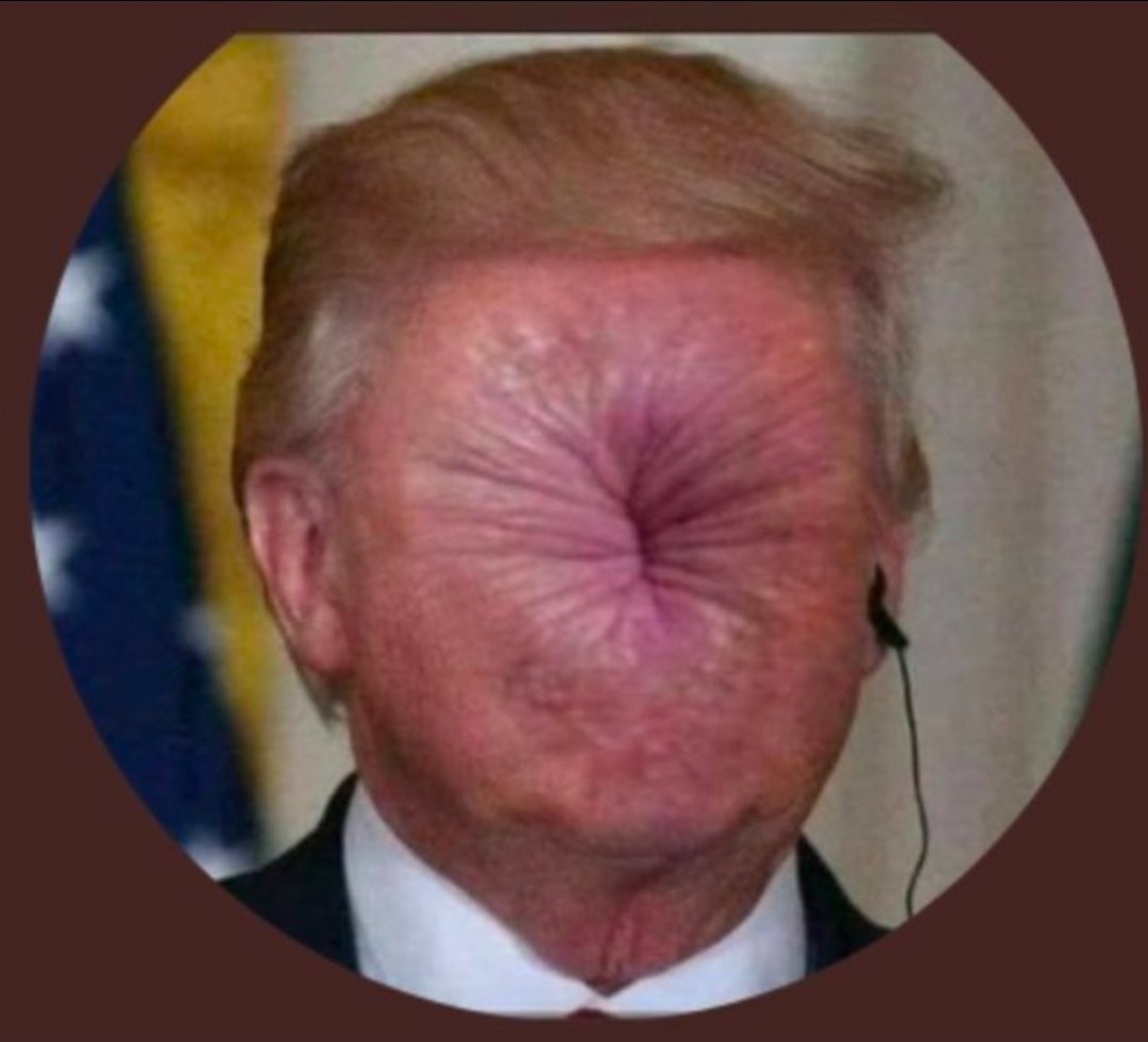 scottca83159841's tweet photo. @mazemoore Great job on diligently creating AI garbage. Just face it.  Trump lost and started the insurrection. https://t.co/WISrnAhZMD