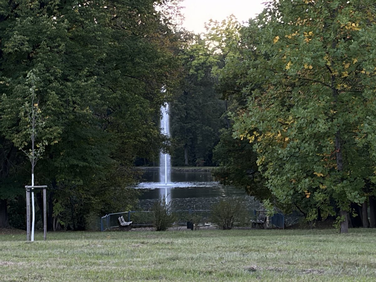 BesosDeLavanda9's tweet photo. 🌳 https://t.co/xMS9BtIL3E