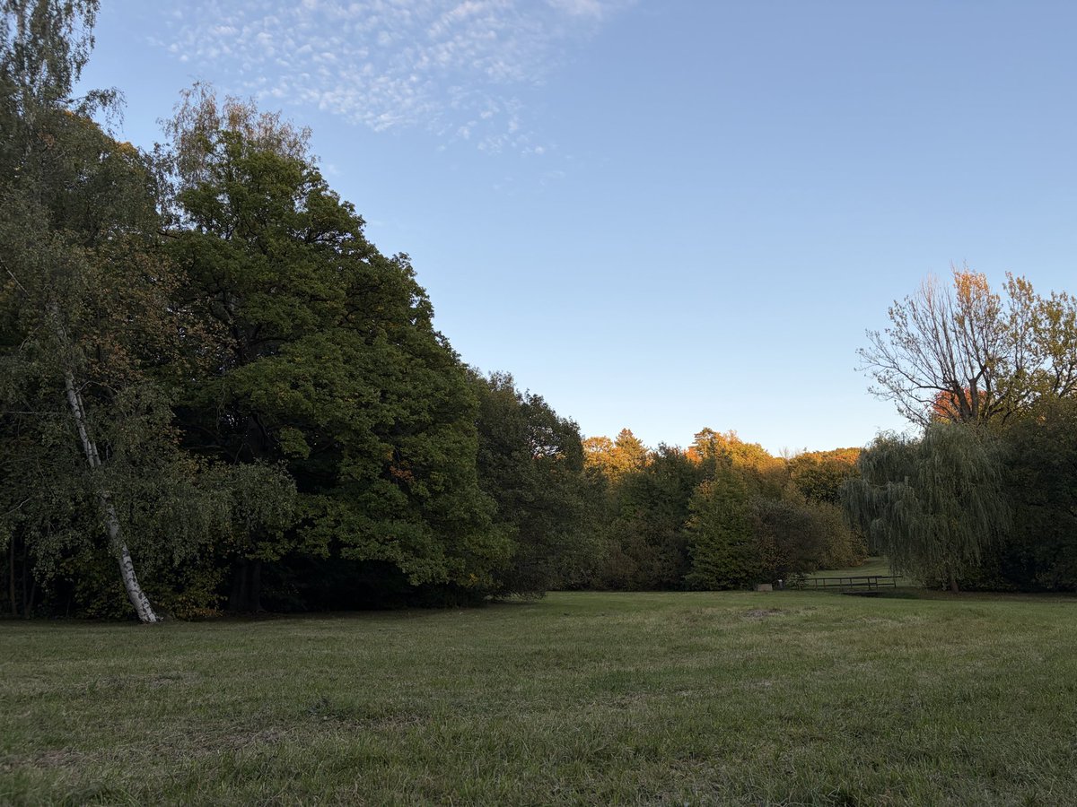 BesosDeLavanda9's tweet photo. 🌳 https://t.co/xMS9BtIL3E