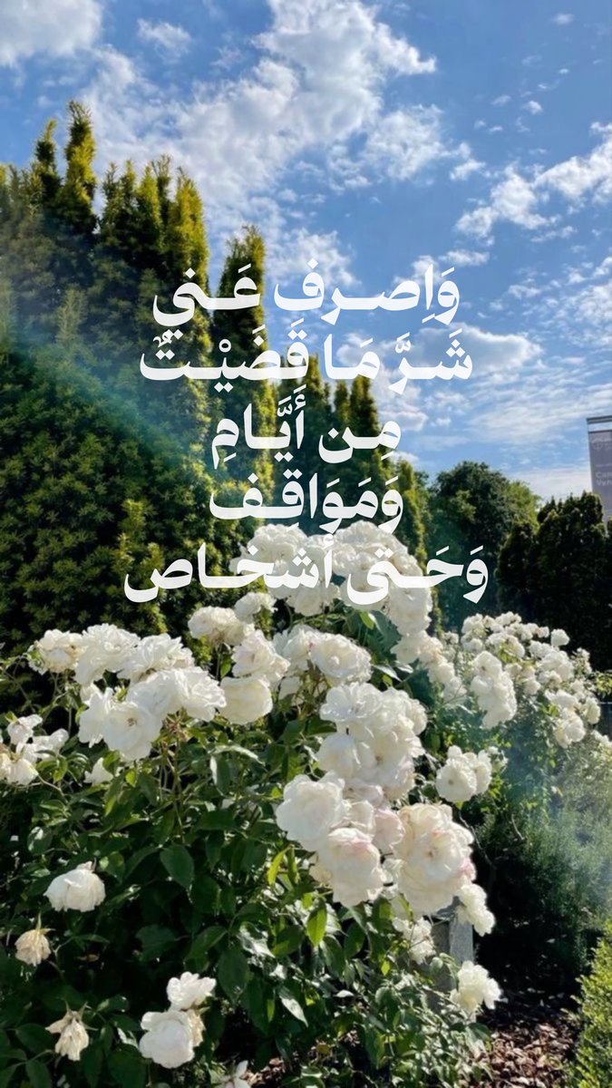 6lll_s's tweet photo. https://t.co/rddXM3tlJK