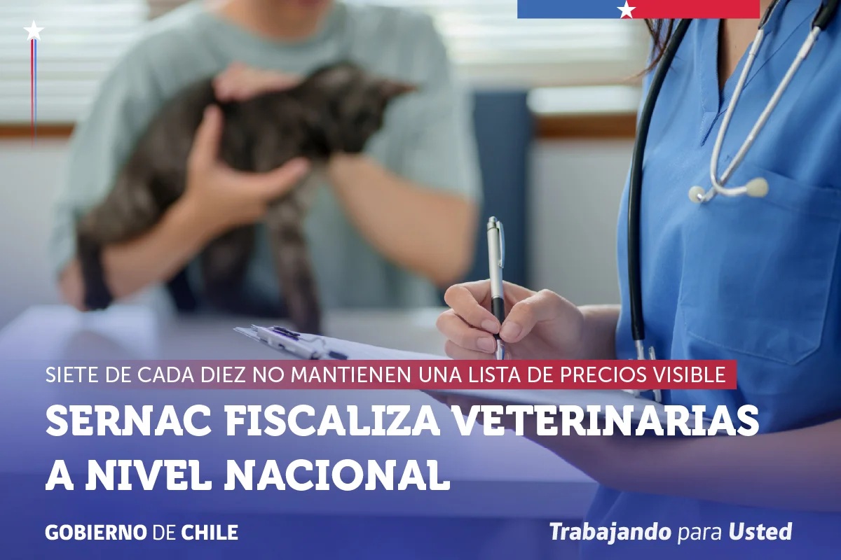 DiarioNoti27564's tweet photo. #SERNAC #detecta #una #de #las #principales #falencias #en #veterinarias. 7 de #cada 10 #no #exhiben #sus #precios. https://t.co/UrGJ2W3GJk