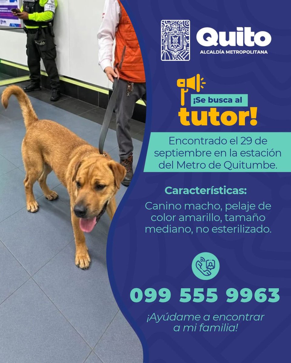 UBAQuito's tweet photo. 🔎🐾 #SeBuscaATutor | ¿Reconoces a este animal de compañía?

🏡 Si lo reconoces o tienes información que nos ayude a encontrar a su tutor, comparte esta publicación y ayúdanos a que pueda regresar a casa.

#MunicipioDeQuito #BienestarAnimal https://t.co/0jndBj2wP6