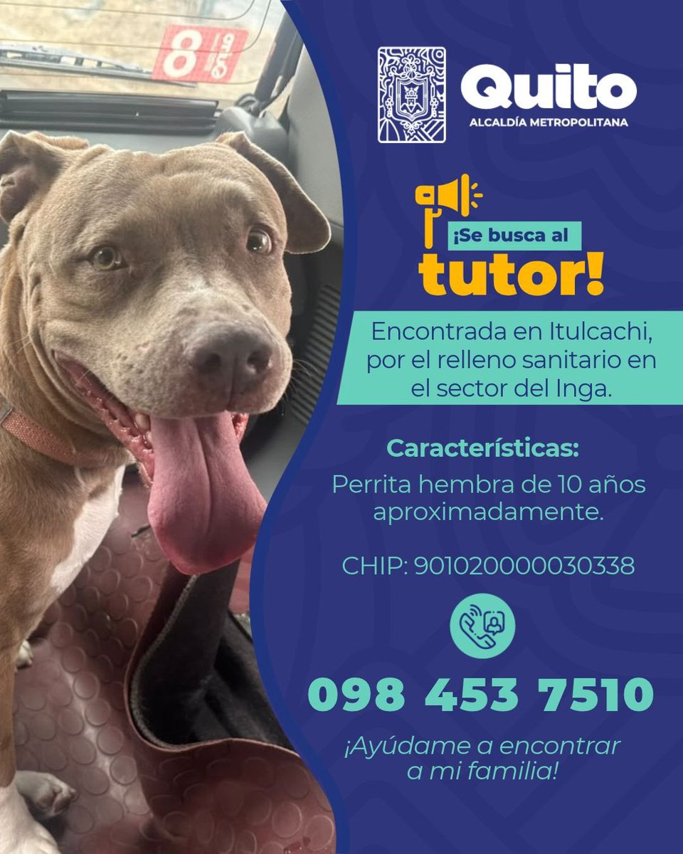 UBAQuito's tweet photo. 🔎🐾 #SeBuscaATutor | ¿Reconoces a este animal de compañía?

🏡 Si lo reconoces o tienes información que nos ayude a encontrar a su tutor, comparte esta publicación y ayúdanos a que pueda regresar a casa.

#MunicipioDeQuito #BienestarAnimal https://t.co/0jndBj2wP6